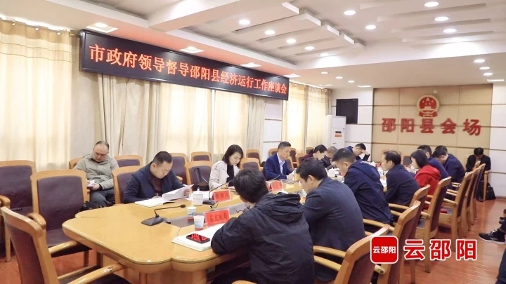 胡小刚到邵阳县督导经济运行工作(图2)