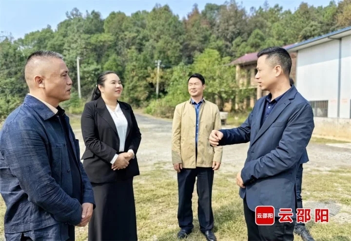 胡小刚到邵阳经开区督导检查林长制工作落实情况