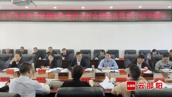 邵阳市商务和开放型经济形势分析暨激发需求行动专题会召开(图1)