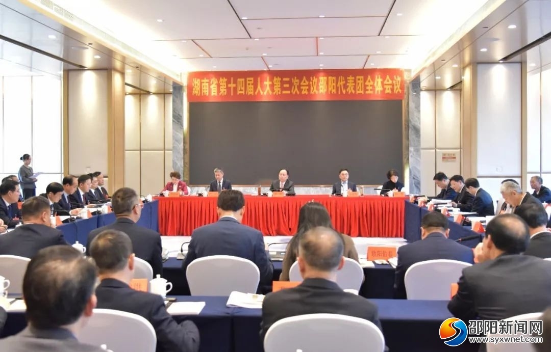 省十四届人大三次会议邵阳市代表团审议省人大常委会工作报告(图1)