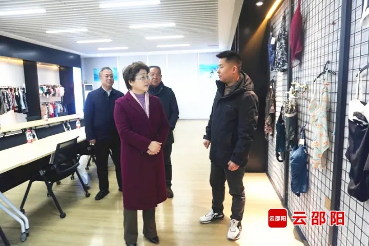 周迎春到邵阳经开区开展送解优行动(图1)