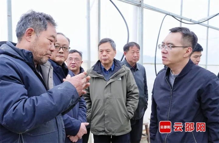 省农业农村厅指导组来邵阳开展春季农业生产技术指导工作(图2)