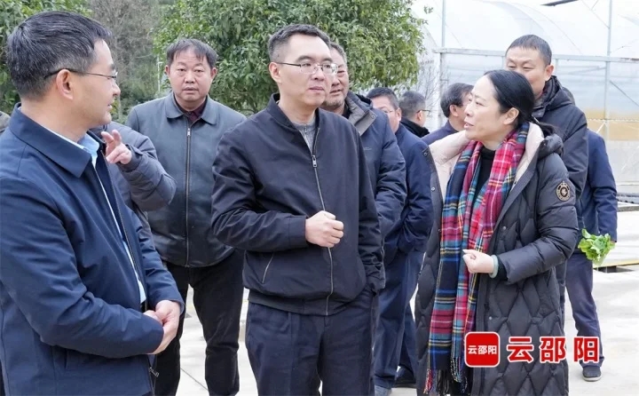 省农业农村厅指导组来邵阳开展春季农业生产技术指导工作(图1)