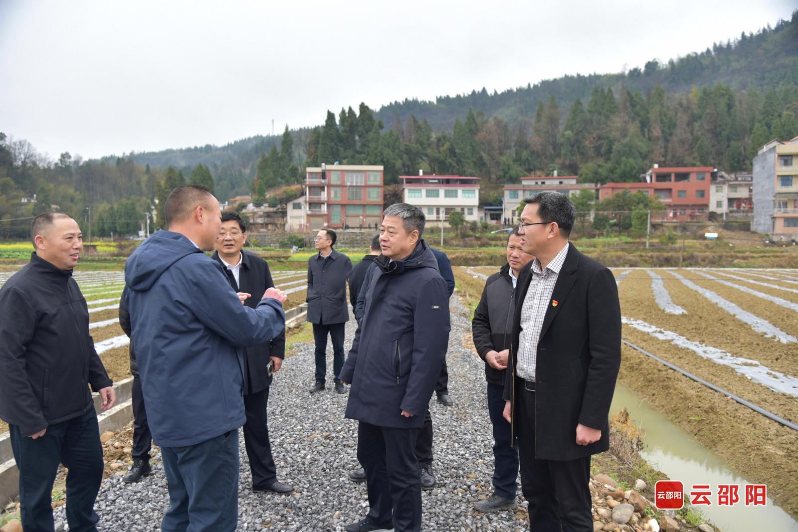 严华在隆回调研乡村振兴、基层党建、全面从严治党等工作(图1)