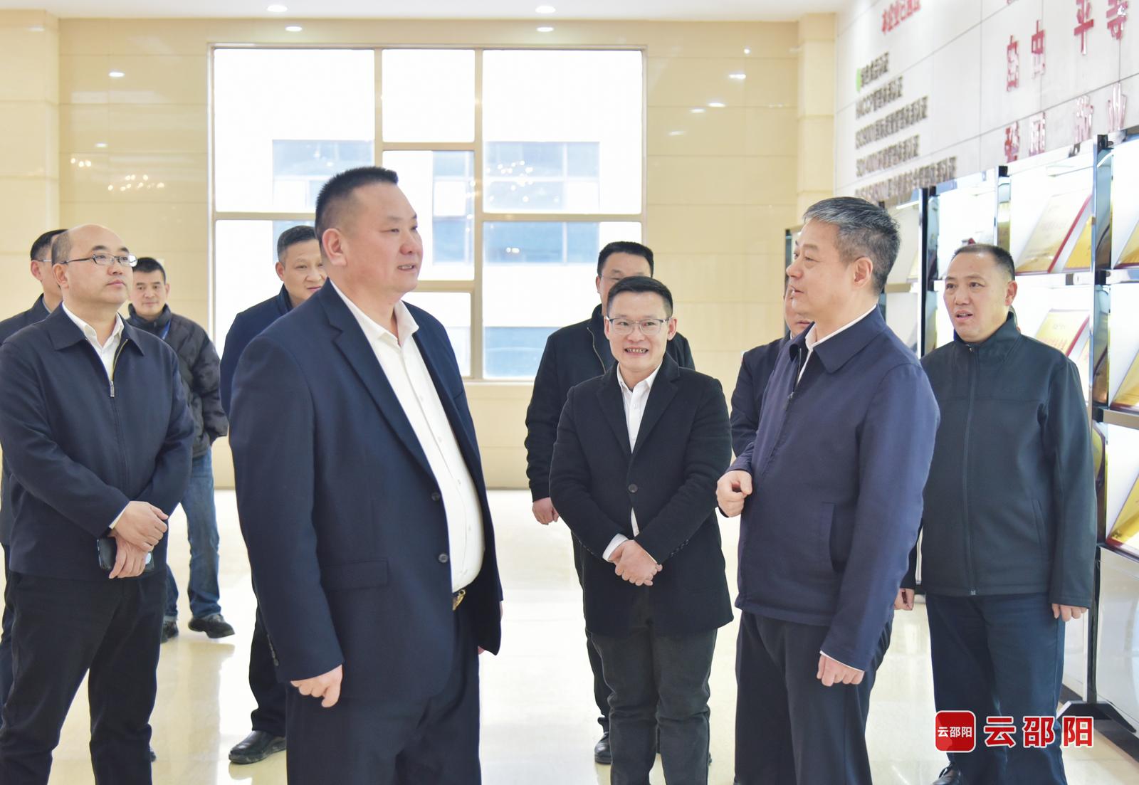 严华在隆回调研乡村振兴、基层党建、全面从严治党等工作(图4)