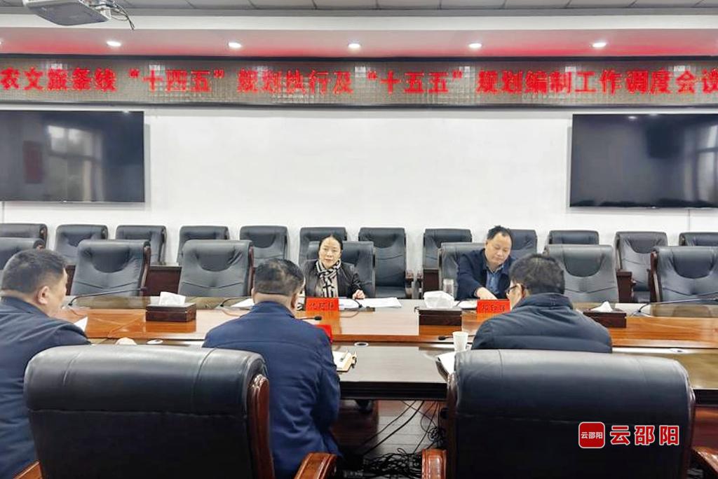 仇珂静组织召开农文旅条线“十四五”规划执行及“十五五”规划编制工作调度会(图1)