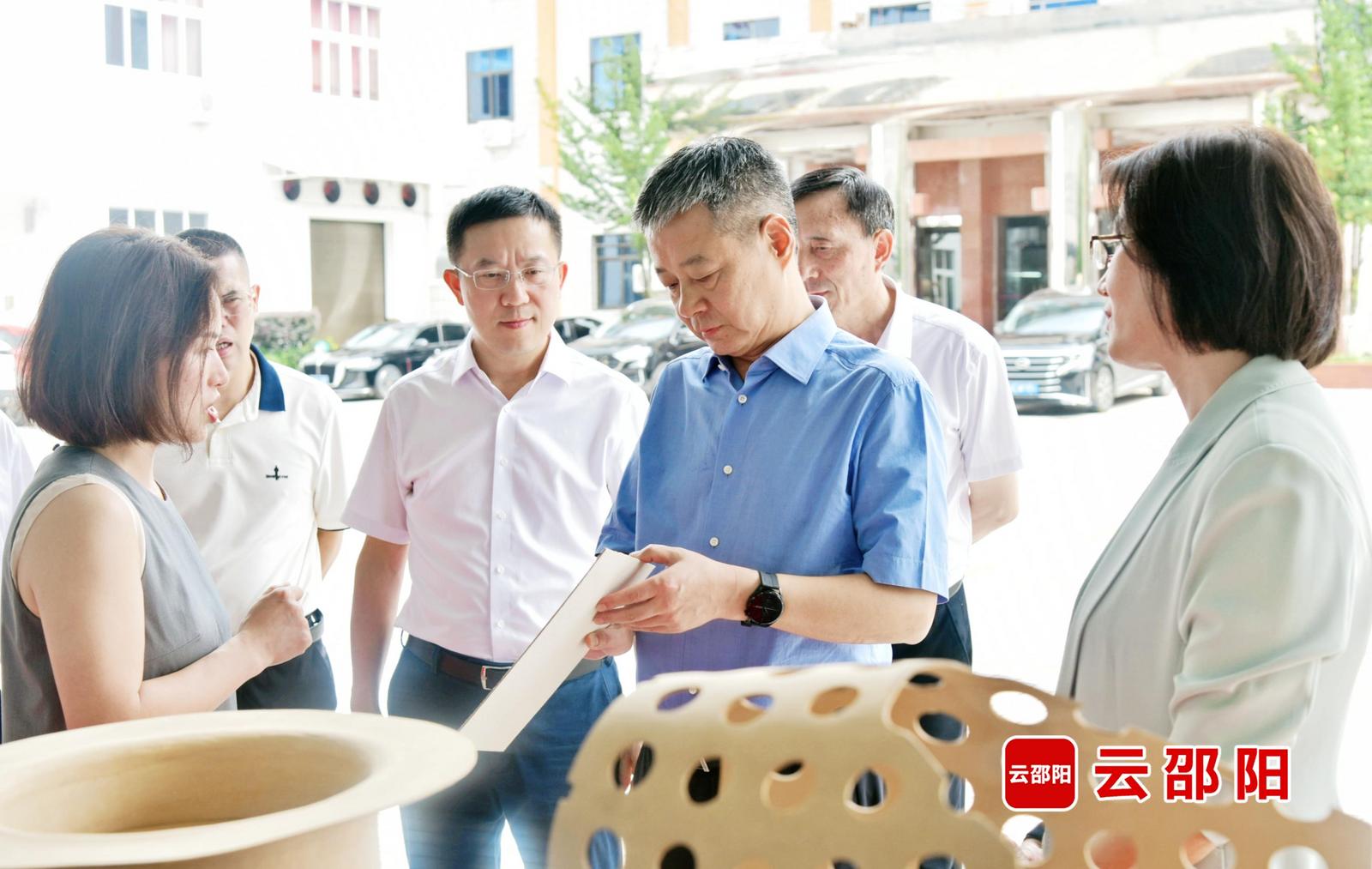 严华在邵阳市区和新邵调研重大项目建设情况(图3)
